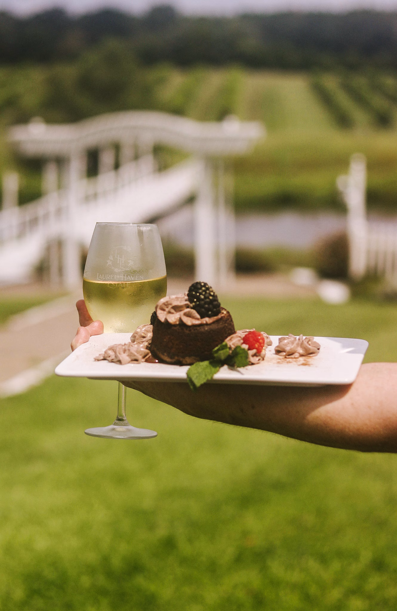 vineyard restaurant patio dining at Laurel Haven Estate in Lancaster SC