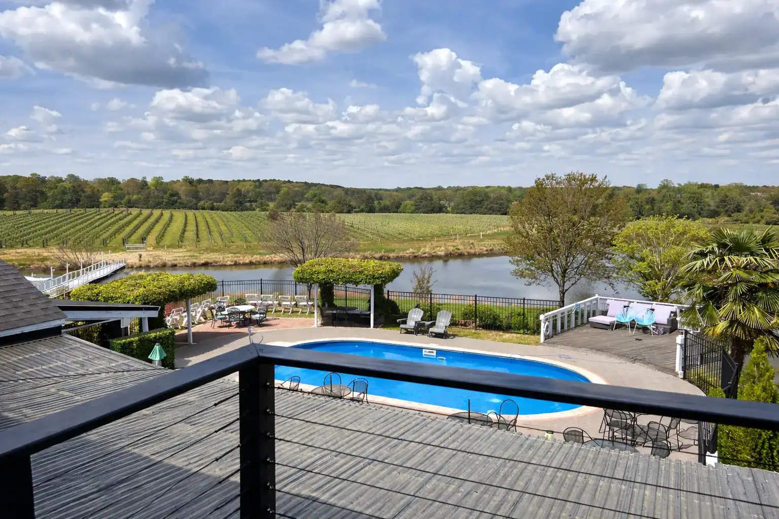 Elegant vineyard dining experience with gourmet dishes and wine