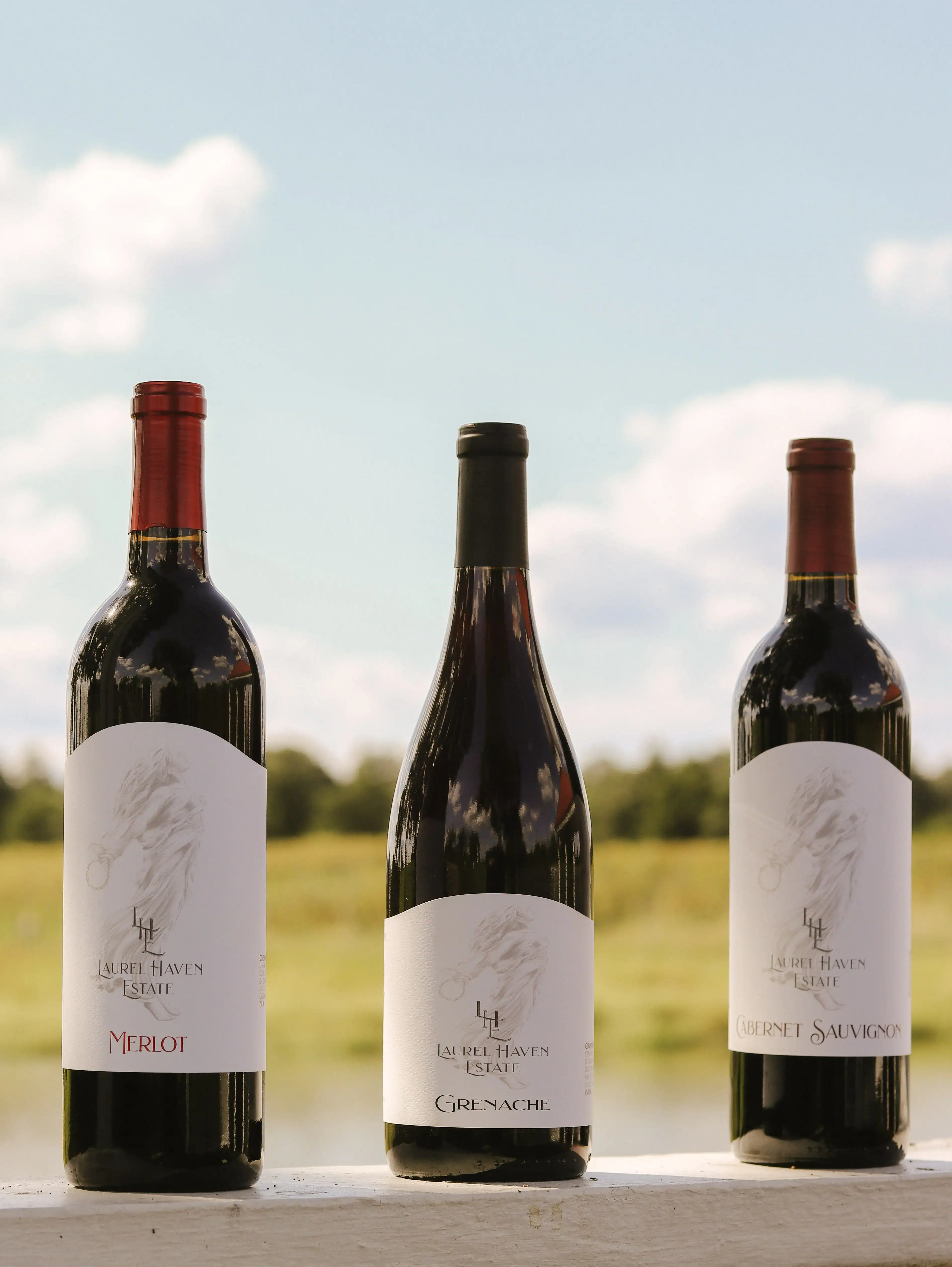 Seasonal ingredients with wine pairings, illustrating the connection between fresh produce and wine choices